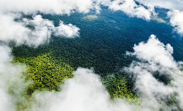 Wolken aus der Vogelperspektive mit grünen Wäldern darunter (Foto)